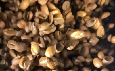 Coffee on Air: The Roast Method That Lifts Every Bean